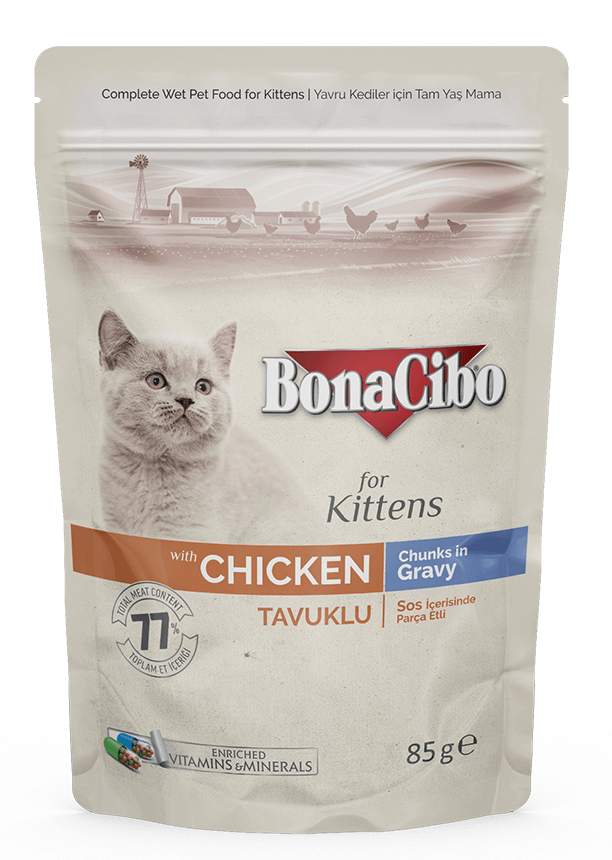 Bonacibo kitten wet food