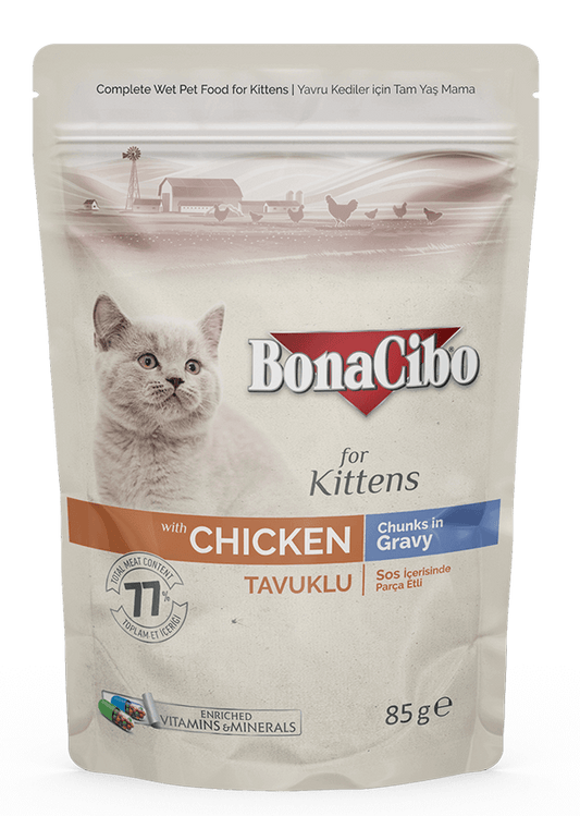 Bonacibo kitten wet food