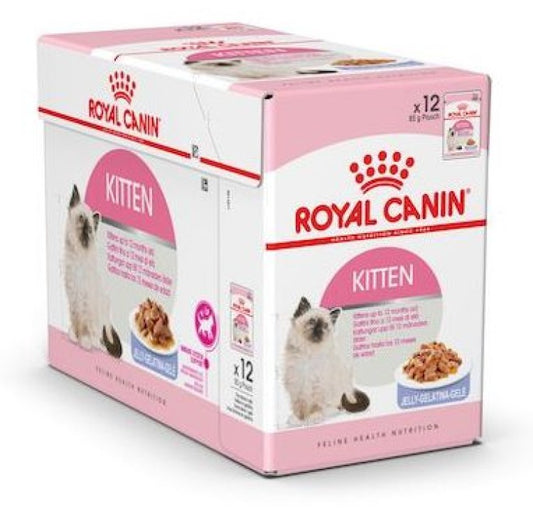 Feline Health Nutrition Kitten Jelly (WET FOOD - Pouches) 12x85G